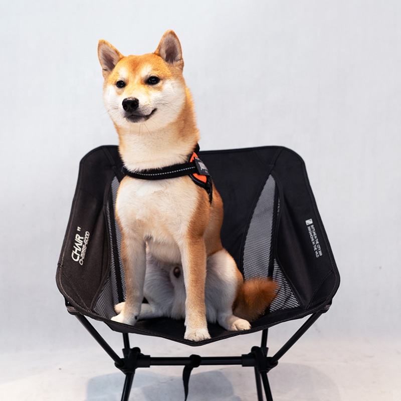 Portable ultra-light aluminum folding beach chair with low back