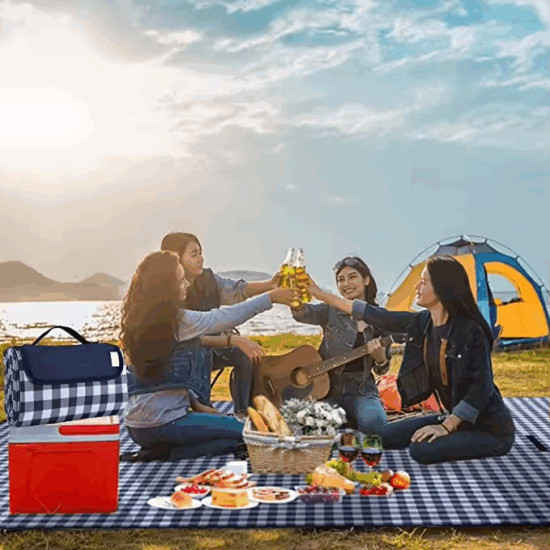 80x60 Extra Large Foldable Waterproof Picnic Blanket for Beach and Camping